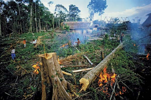 environment concerns conflicts in the rainforest The environment is pretty wet in tropical rainforests, maintaining a high humidity of 77% to 88% year-round the yearly rainfall ranges from 80 to 400 inches (200 to 1000 cm), and it can rain hard. environment concerns conflicts in the rainforest The environment is pretty wet in tropical rainforests, maintaining a high humidity of 77% to 88% year-round the yearly rainfall ranges from 80 to 400 inches (200 to 1000 cm), and it can rain hard.